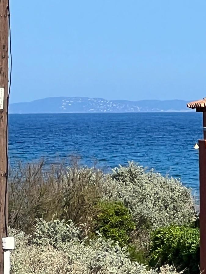 Plein Sud, Bel Appartement 20 Metres De La Plage La Capte Hyères Zewnętrze zdjęcie